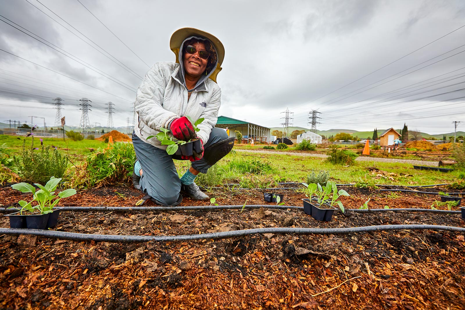 UrbanFarm_5155