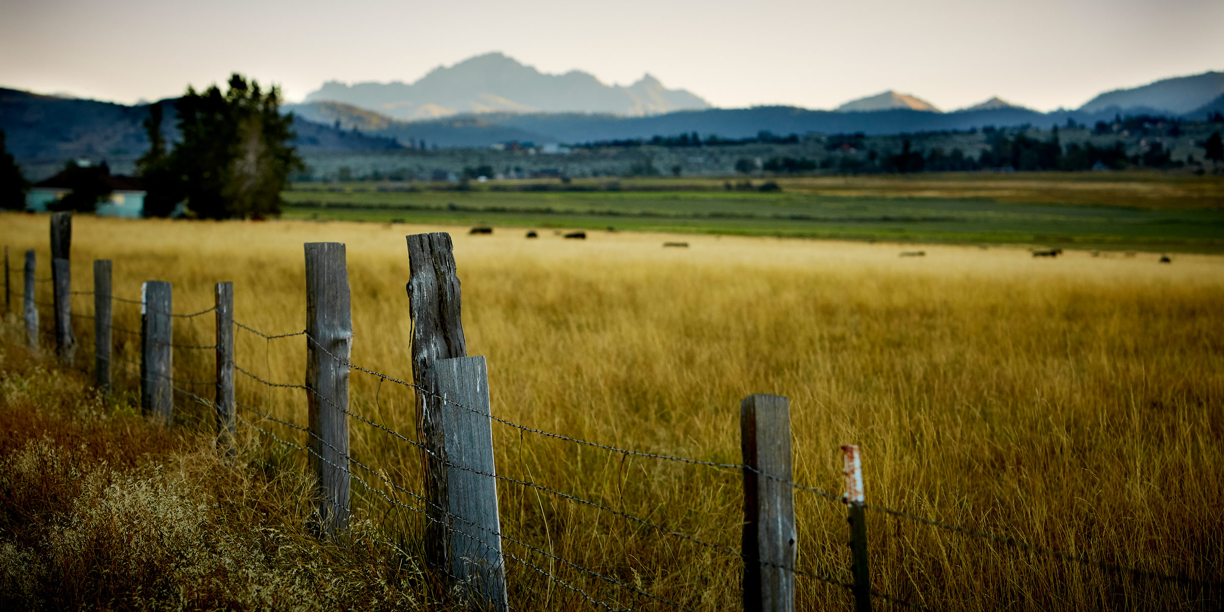 Mountain Rangeland 5130